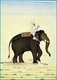 India: Mahout on an elephant; gouache on paper; Murshidabad, India; 18th century, artist unknown
